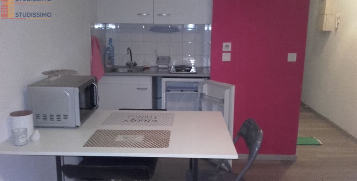 Studio 24m² Grenoble centre - dernier étage, lumineux - Photo 8