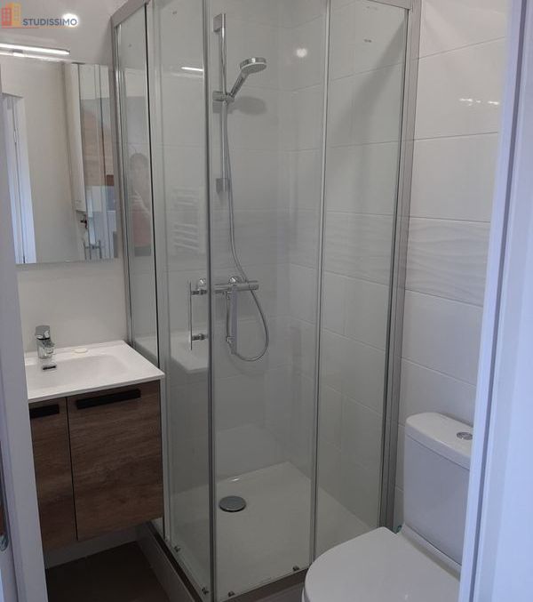 Studio 21m² Grenoble centre - Meublé, dernier étage - Photo 1