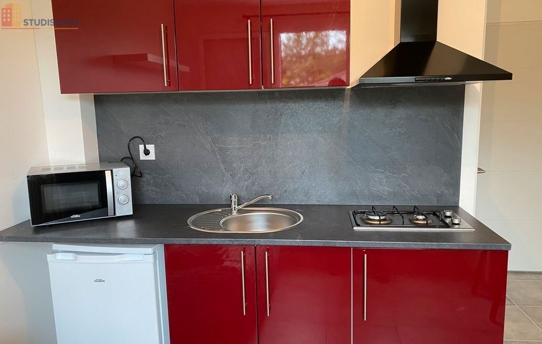 Studio meublé 15m² Saint-Martin-d'Hères - Étudiant, lumineux - Photo 9