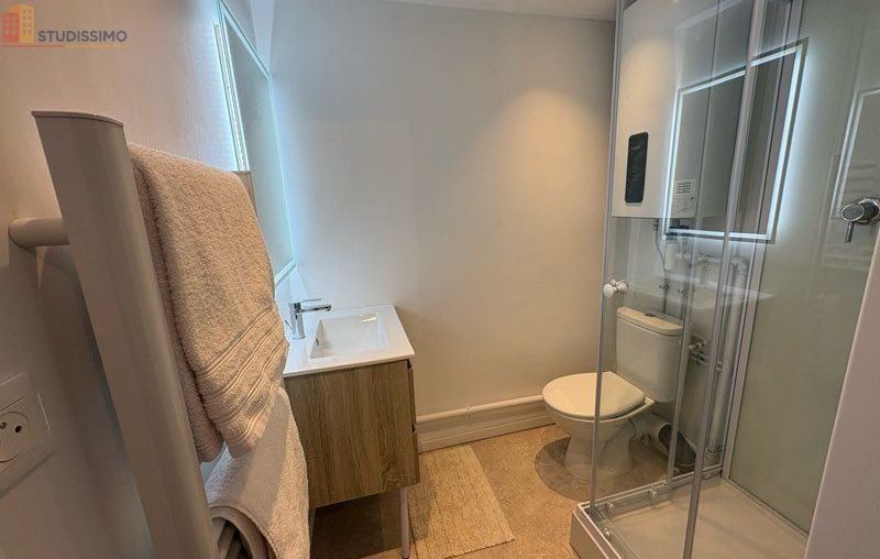 Studio meublé 19m² Chasse-sur-Rhône - Rénové, lumineux - Photo 2
