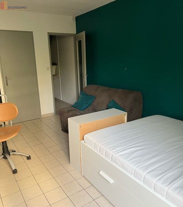 Studio meublé 21m² Grenoble Ile Verte - Lumineux - Photo 12
