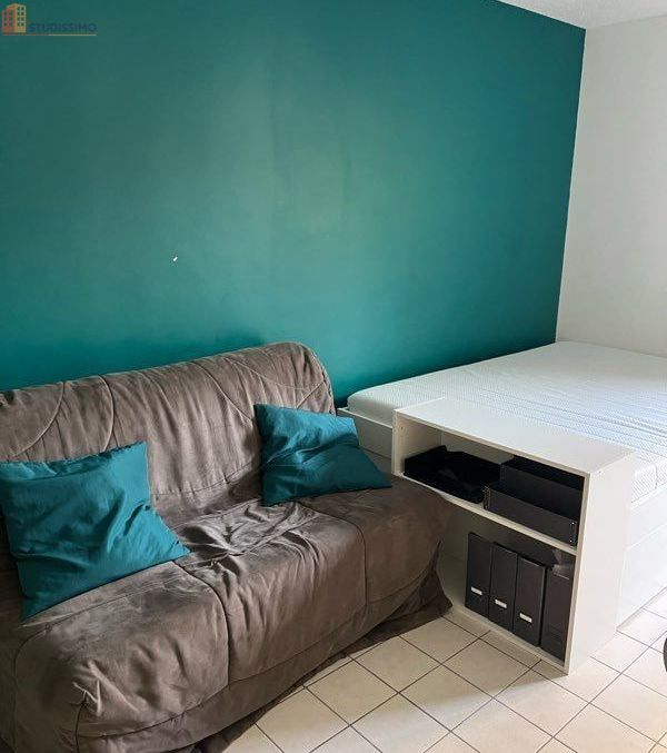 Studio meublé 21m² Grenoble Ile Verte - Lumineux - Photo 3