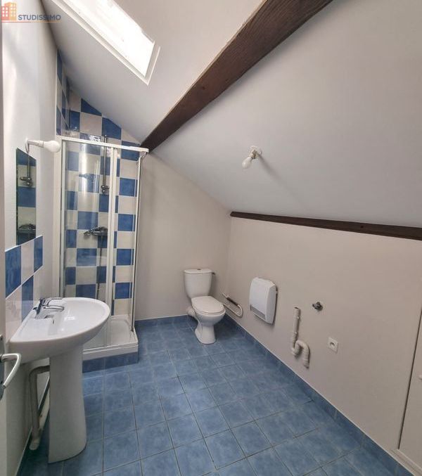 Studio 25m² Sassenage - Grand, rénové - Photo 19