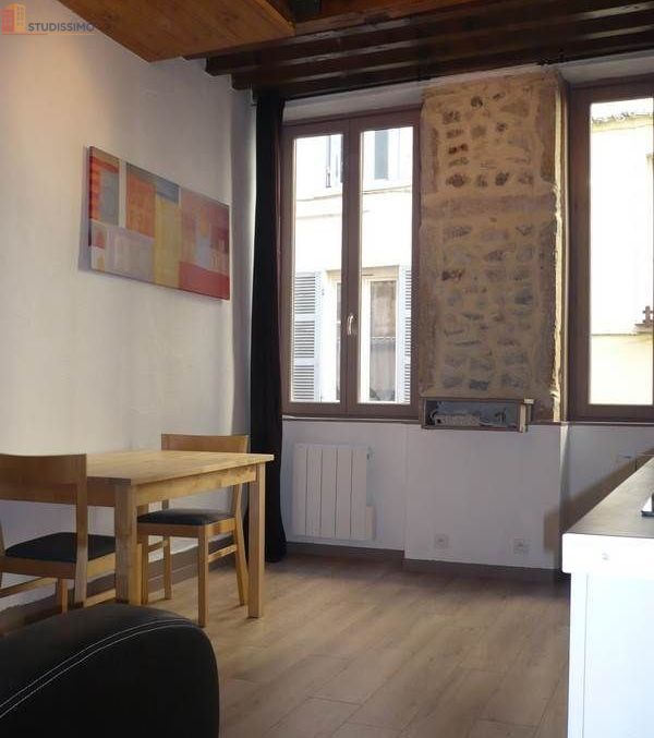 Studio meublé 25m² Vienne 38200 - Meublé, centre-ville - Photo 10