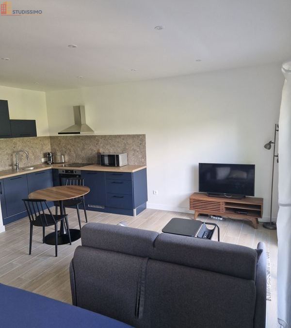 Studio meublé 28m² Nivolas-Vermelle - Balcon, parking - Photo 11