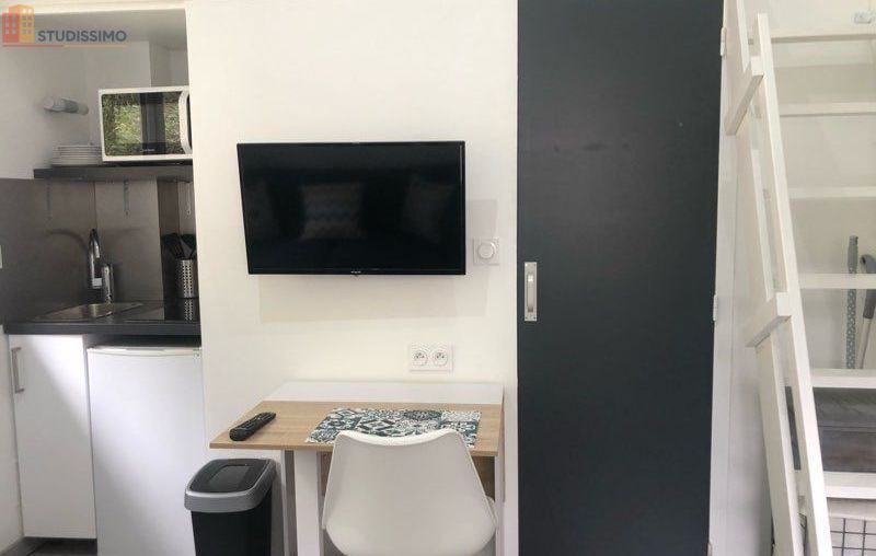 Studio meublé 11m² Vienne - Refait à neuf, terrasse - Photo 2