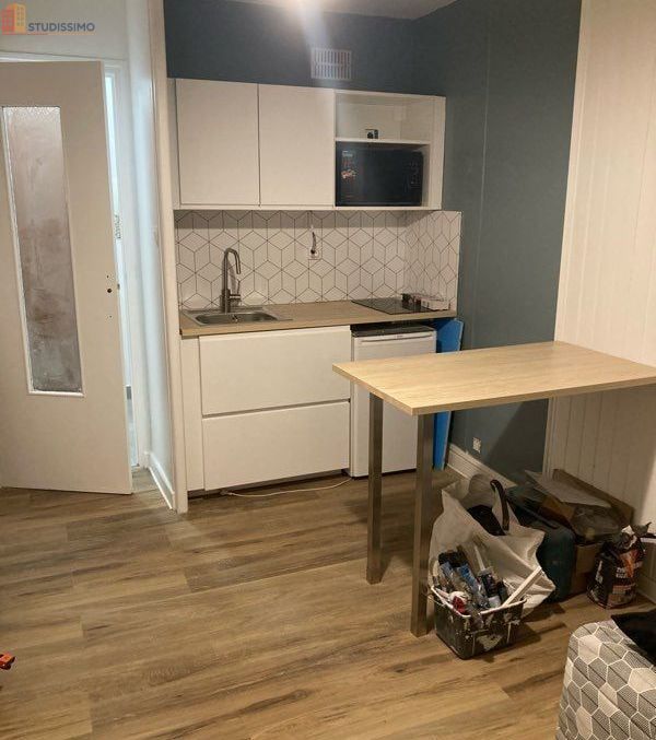 Studio 18m² Grenoble - Meublé, Île Verte - Photo 5