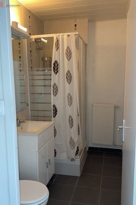 Studio 27m² Seyssinet-Pariset - Dernier étage, lumineux - Photo 2