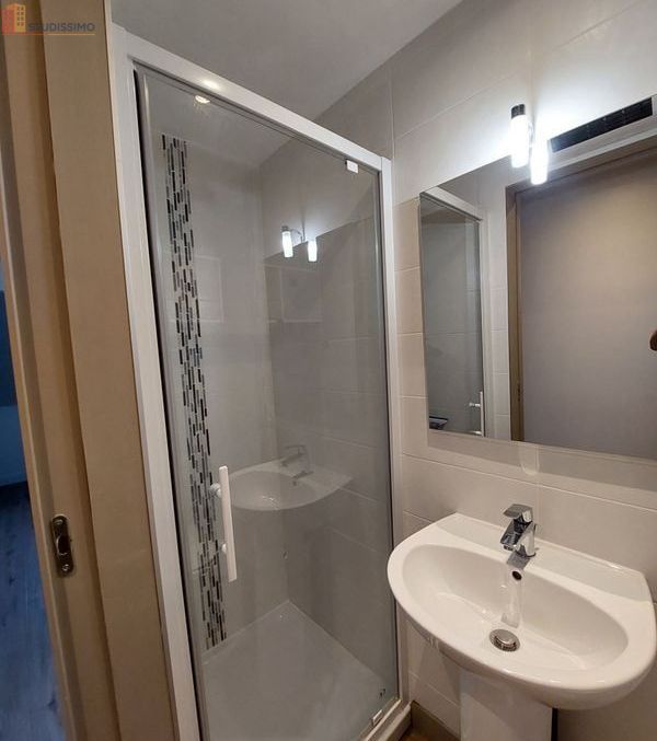 Studio meublé 22m² Grenoble centre - Refait à neuf, lumineux - Photo 0