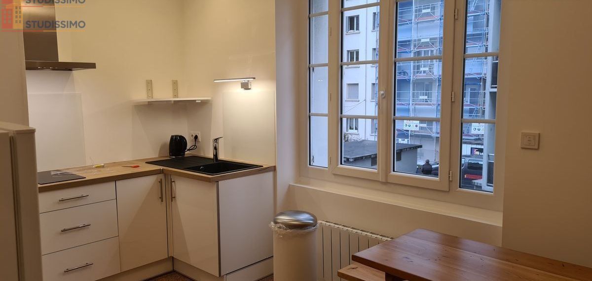 Studio meublé 37m² Grenoble 38100 - Douillet, proche centre - Photo 16