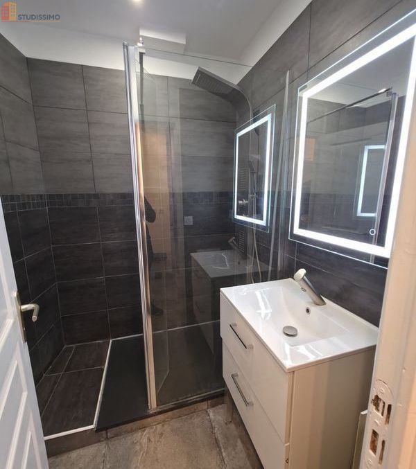 Studio 22m² Grenoble centre - Rénové, calme - Photo 4