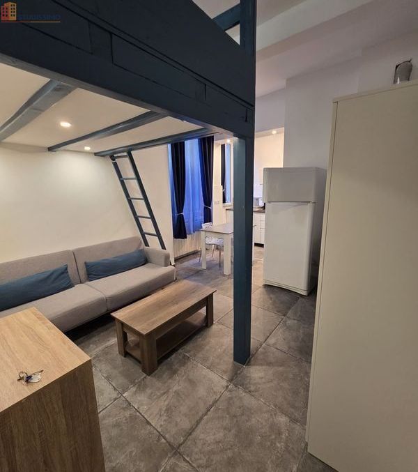 Studio 22m² Grenoble centre - Rénové, calme - Photo 5