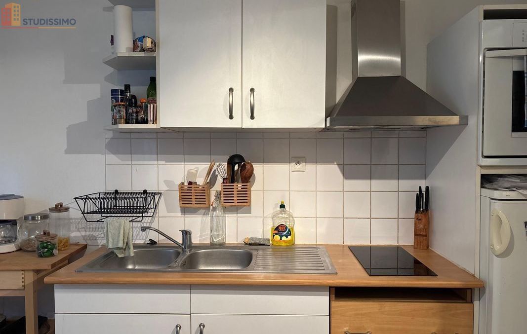 Studio meublé 30m² Grenoble 38100 - Meublé, DPE D - Photo 11