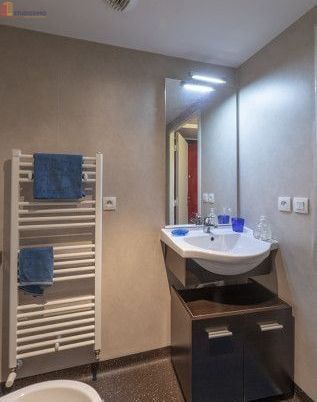 Studio meublé 18m² Grenoble 38000 - Lumineux, étage élevé - Photo 12