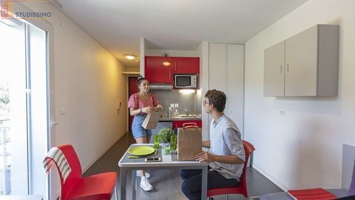 Studio meublé 18m² Grenoble 38000 - Lumineux, étage élevé - Photo 9