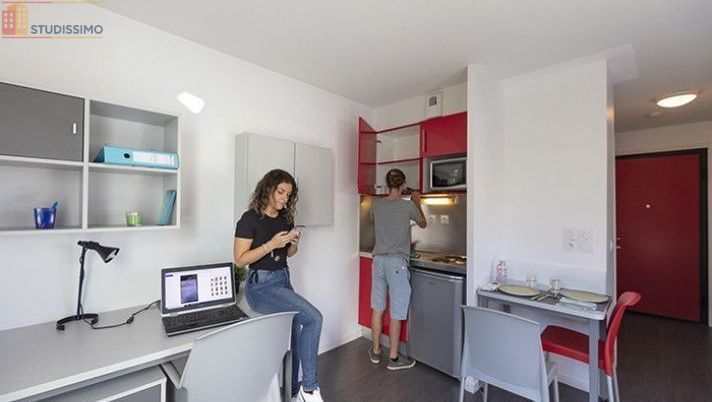 Studio meublé 18m² Grenoble centre - Étage élevé, lumineux - Photo 12