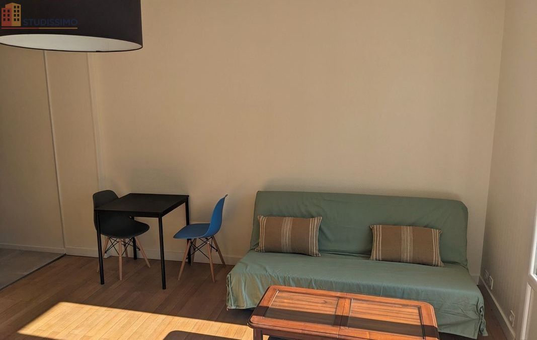 Studio meublé 33m² Grenoble centre - Lumineux, 3e étage - Photo 14