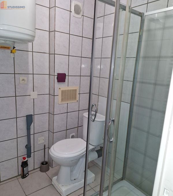 Studio 30m² Le Grand-Lemps - Lumineux - Photo 1