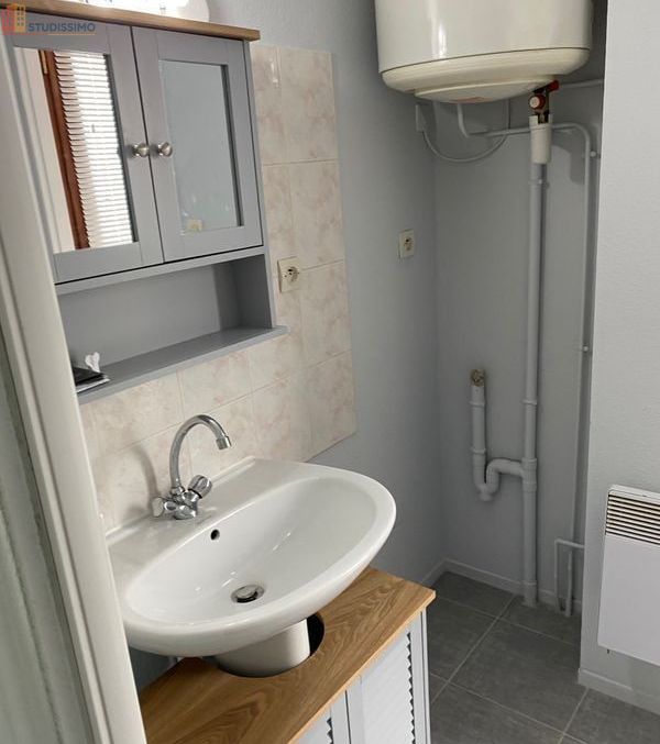 Studio 25m² Les Avenières Veyrins-Thuellin - non meublé - Photo 4