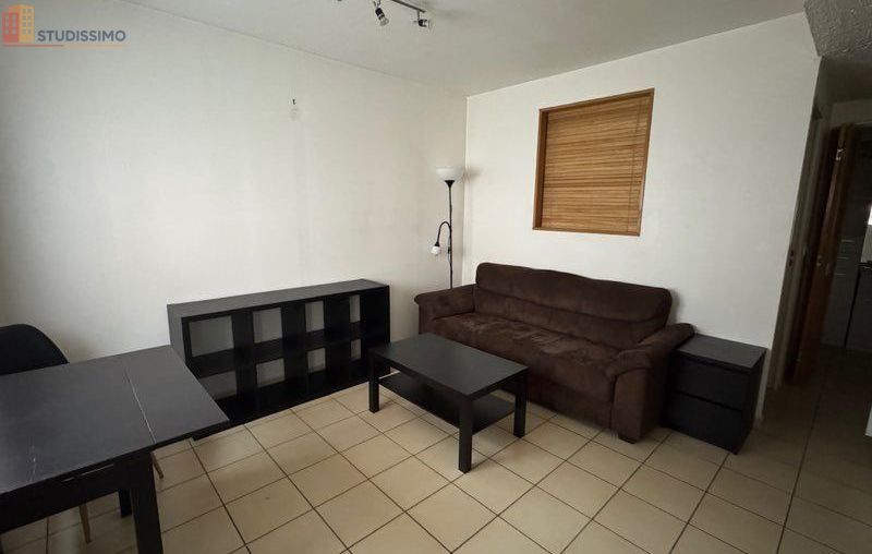 Studio meublé 29m² Saint-Martin-d'Hères - Proche campus - Photo 6