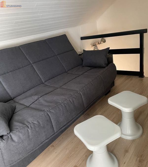 Studio meublé 15m² Grenoble 38100 - Terrasse, meublé - Photo 12