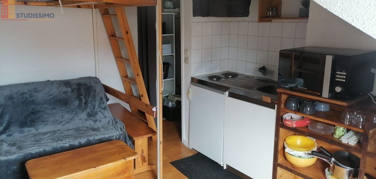 Studio 17m² Grenoble centre - Meublé, dernier étage - Photo 5