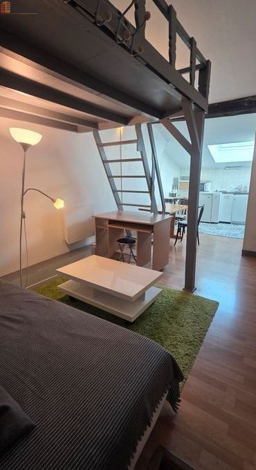 Studio 25m² Grenoble 38000 - Dernier étage, lumineux - Photo 20