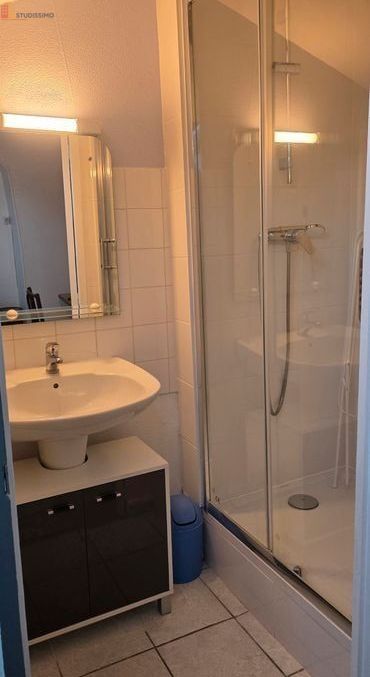 Studio 25m² Grenoble 38000 - Dernier étage, lumineux - Photo 2