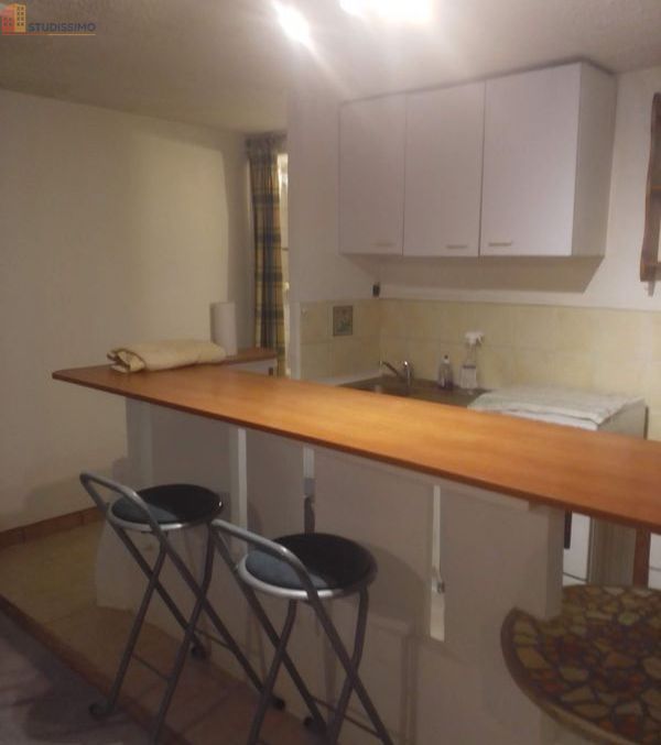 Studio meublé 28m² Vizille - RDC de villa, calme - Photo 13