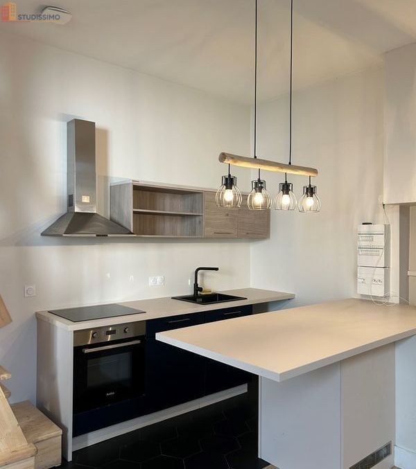 Studio 46m² Grenoble centre - Proche Cours Berriat - Photo 8