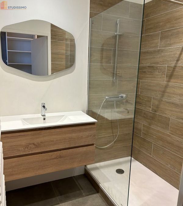 Studio 46m² Grenoble centre - Proche Cours Berriat - Photo 7