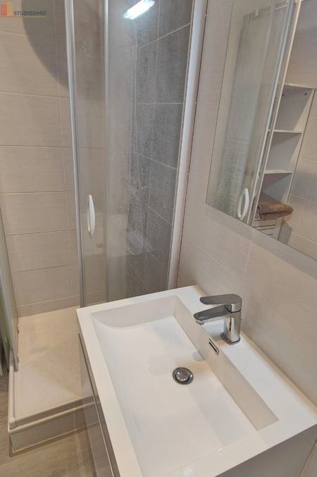Studio meublé 15m² Grenoble centre - Proche gare et commodités - Photo 5