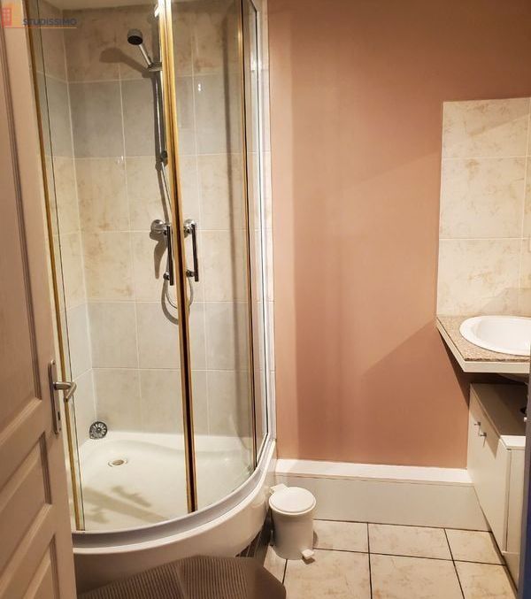 Studio 20m² Vienne 38200 - Meublé, bon accueil - Photo 1