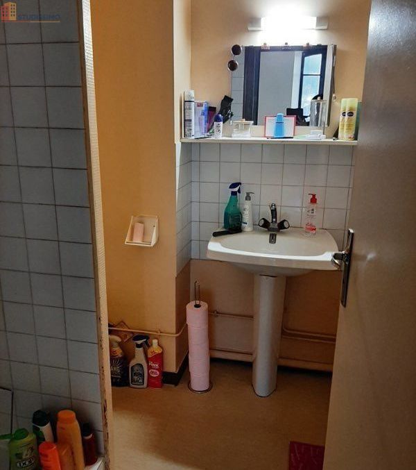 Studio meublé 30m² Saint-Laurent-du-Pont - Meublé, 2e étage - Photo 8
