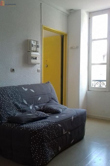 Studio 20m² Grenoble centre - Équipé, hyper centre - Photo 29