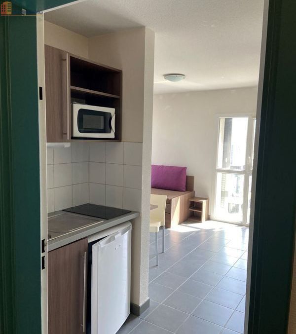 Studio meublé 20m² Grenoble centre - Belle vue, 9e étage - Photo 8