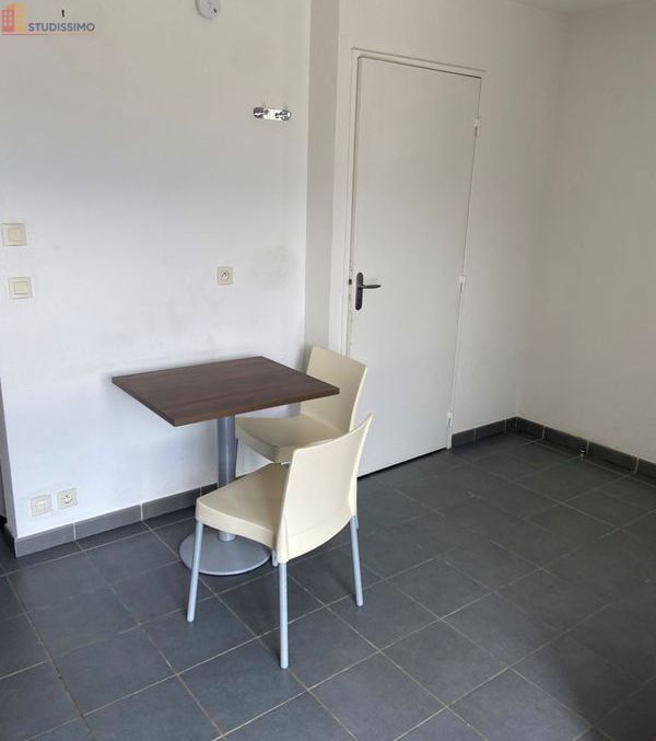 Studio meublé 20m² Grenoble centre - Belle vue, 9e étage - Photo 3