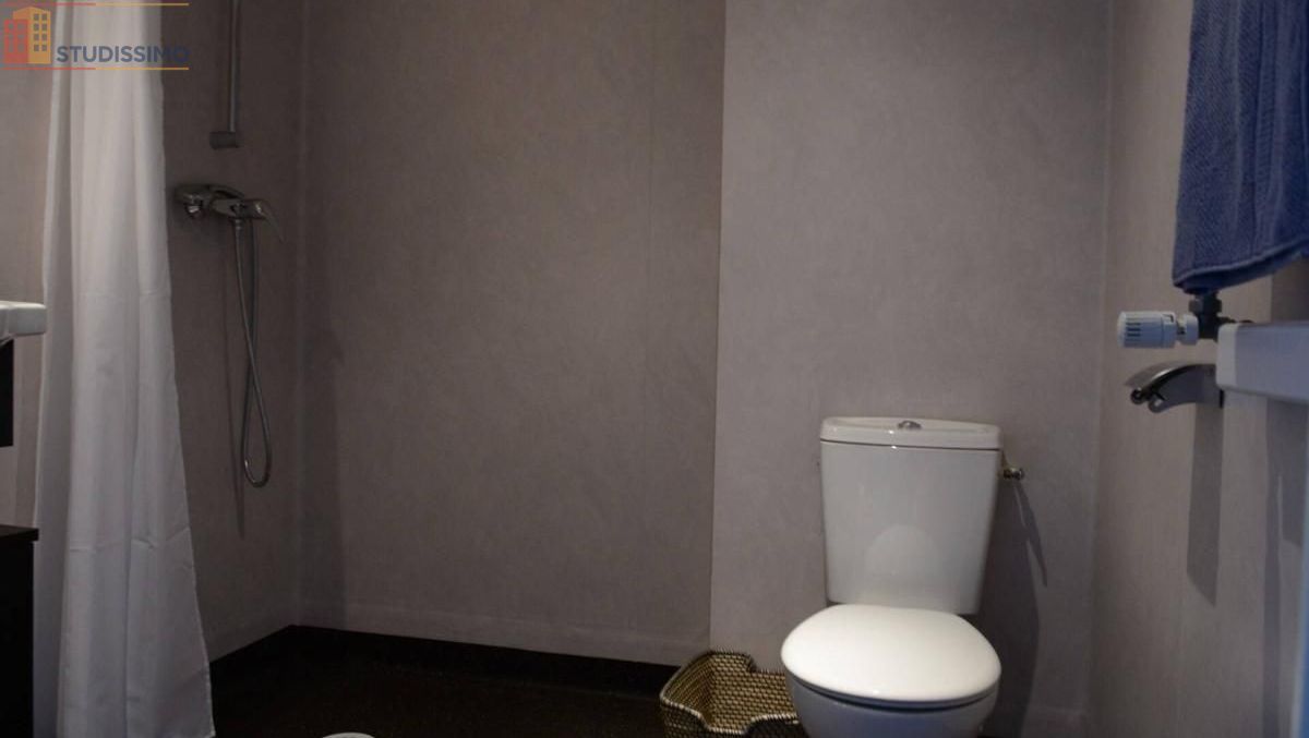 Studio meublé 19m² Grenoble centre - Meublé, 1 pièce - Photo 9