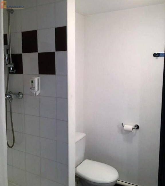Studio meublé 20m² Grenoble 38000 - Meublé, 1 pièce - Photo 15