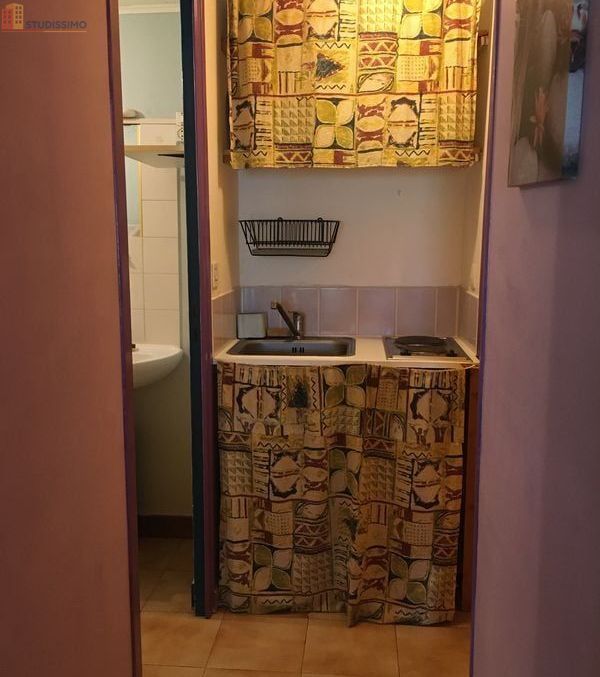 Studio meublé 17m² Coublevie - Meublé, lumineux - Photo 13