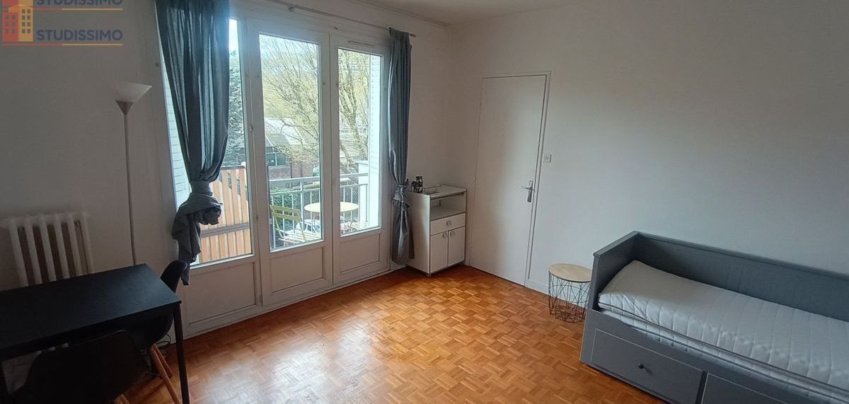 Studio 22m² Grenoble centre - Meublé, Ile Verte - Photo 3