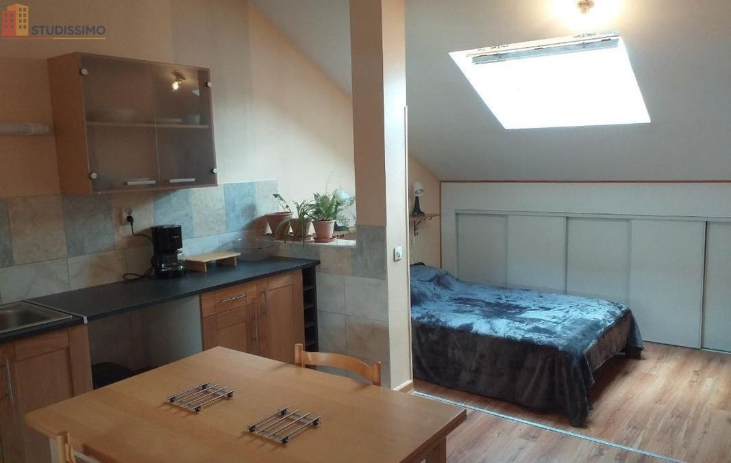 Studio meublé 34m² Fontaine 38600 - Grand, lumineux - Photo 1