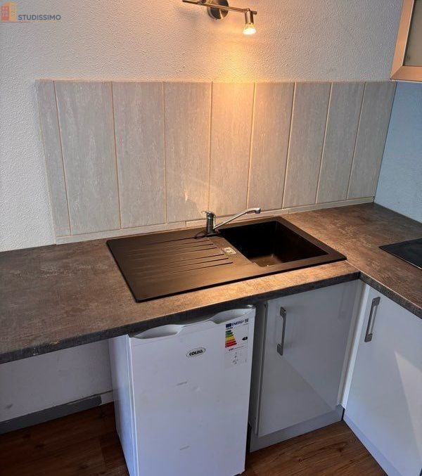Studio meublé 24m² Moirans-en-Montagne - Parking privé - Photo 12