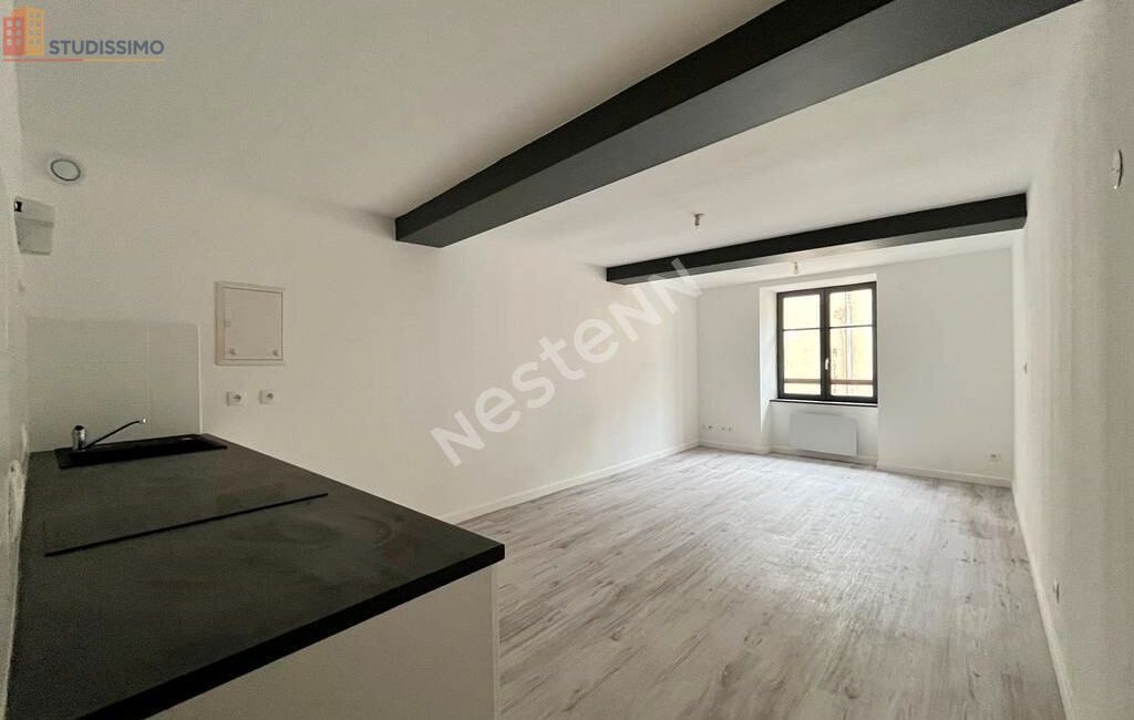 Studio 28m² Saint-Amour 39160 - Photo 25