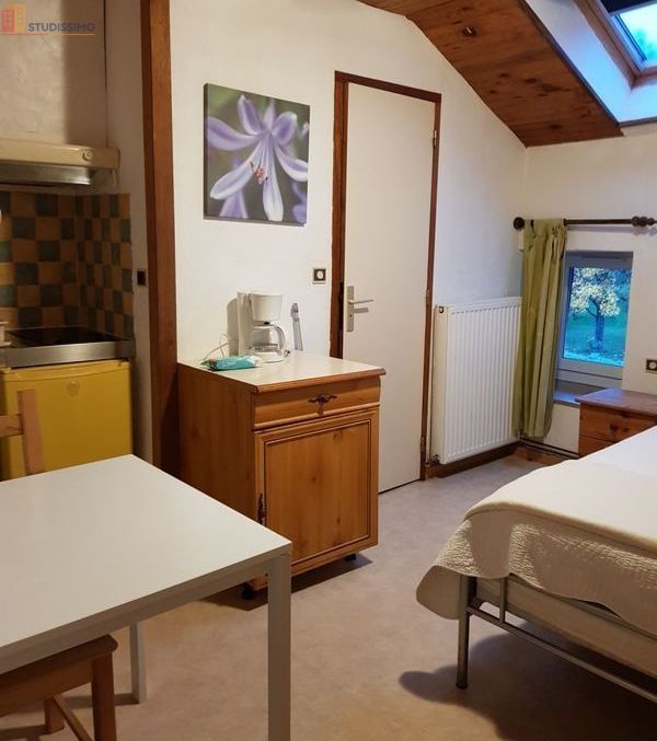 Studio meublé 20m² Saint-Claude 39200 - Meublé, dpe D - Photo 4