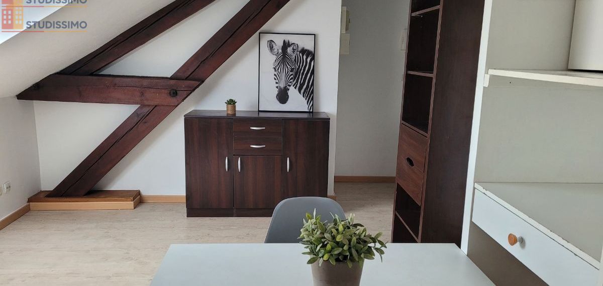 Studio meublé 20m² Dole - Meublé, place de parking - Photo 12