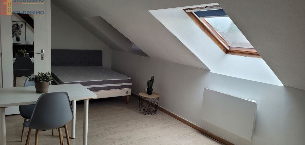 Studio meublé 20m² Dole - Meublé, place de parking - Photo 8