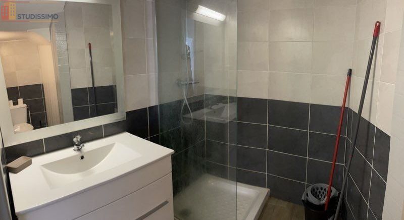 Studio meublé 18m² Mont-de-Marsan - Meublé, DPE D - Photo 5