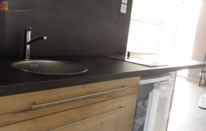 Studio 23m² Le Controis-en-Sologne - without caractéristiques - Photo 4