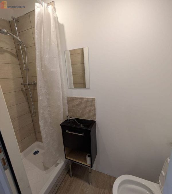 Studio meublé 25m² Blois - Meublé, DPE D - Photo 10